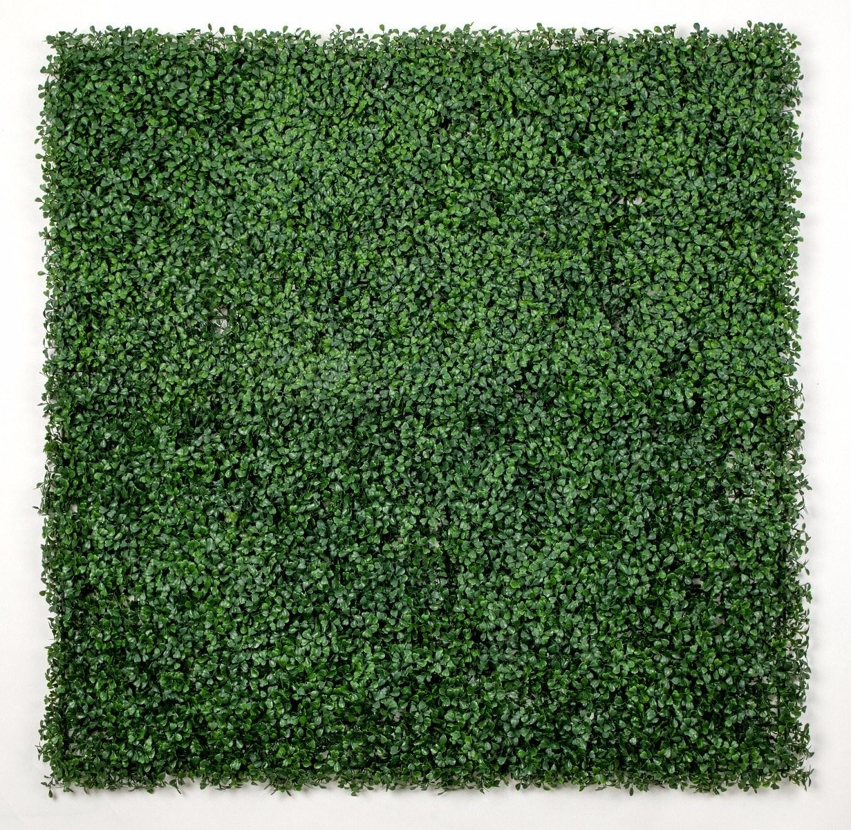 1000500_p_12 Box Wood Screens / Panels UV Stabilised 1m X 1m - Image 1