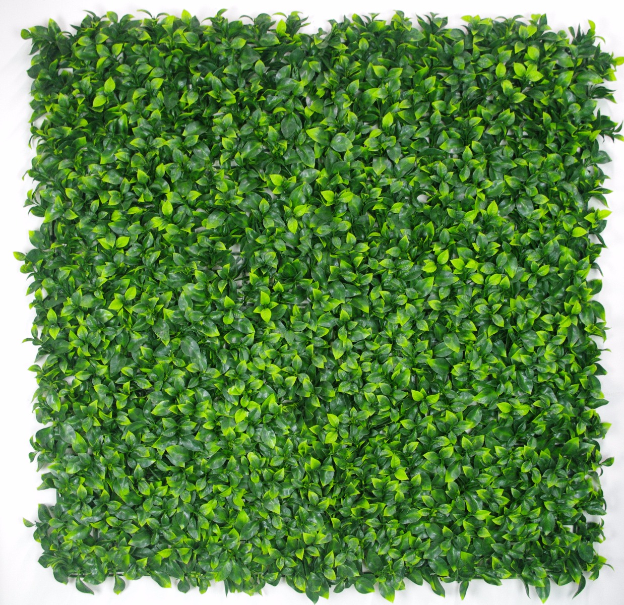 1004628_p1_12 Jasmine Leaf Screens / Panels UV Stabilised 1m X 1m - Image 1