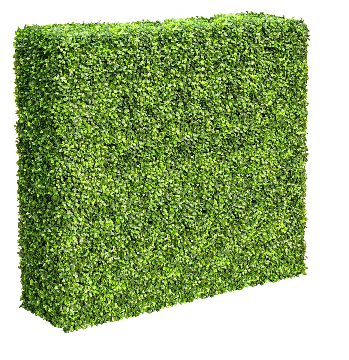 1014424-min_3 Mixed Boxwood Hedge UV Resistant 100cm Long x 100cm High - Image 1