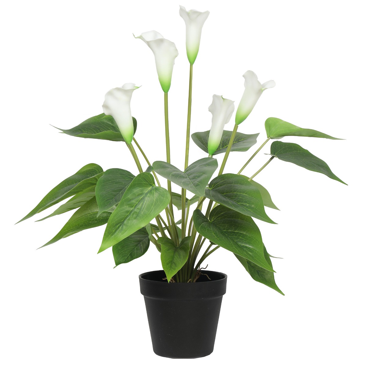 1128565_4_ Artificial Flowering White Peace Lily / Calla Lily Plant 50cm - Image 1
