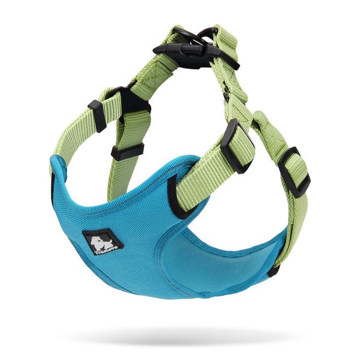 V188-ZAP-TLH5951-11-GREEN-M-TLH5951-Acidblue-Green_2_720x720-00 Urban Harness Blue/Green M - Image 1