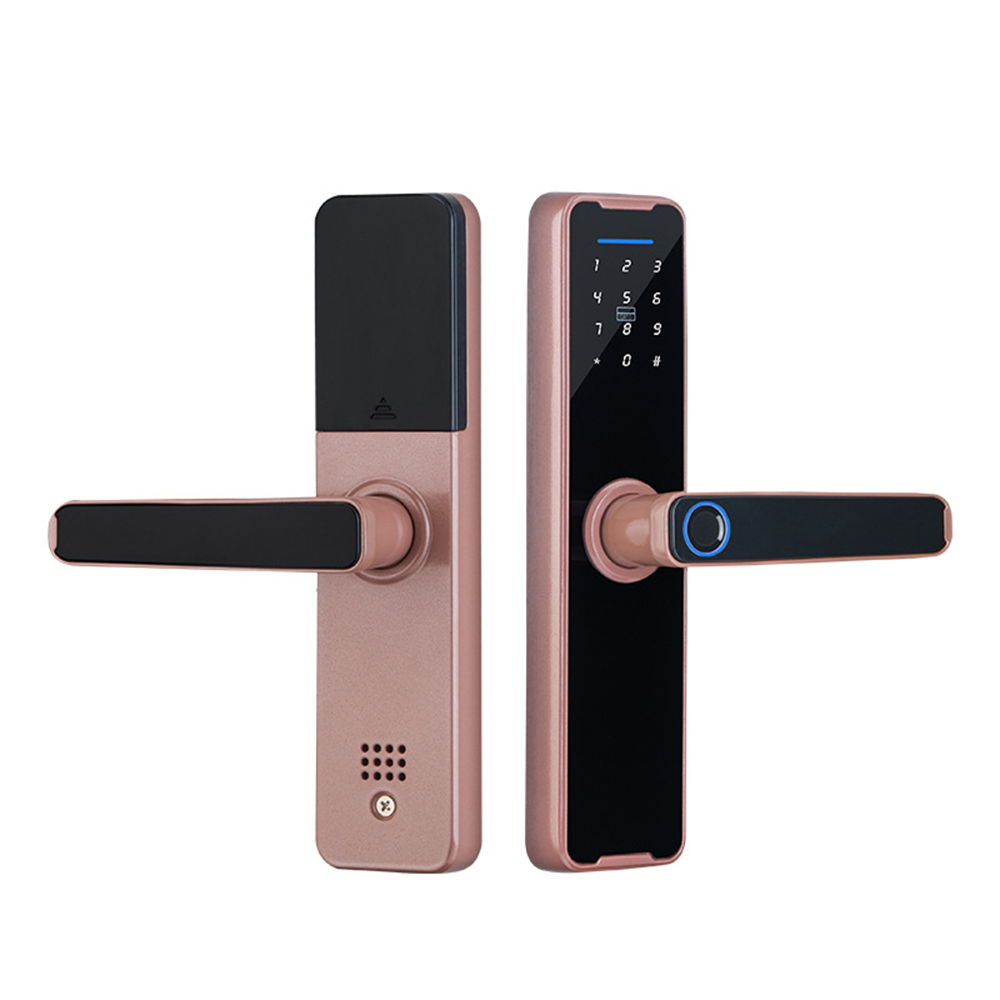 V201-LOCK291GD8AU-81878-00 Tuya Home WIFI Smart Door Lock Biometric Fingerprint Smart Card Password Key USB - Image 1