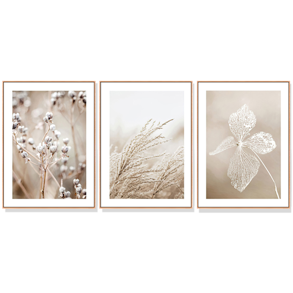 V207-1045_Dried-Flower-3-sets-wood_1 Wall Art 60cmx90cm Dried Flower 3 Sets Wood Frame Canvas - Image 1