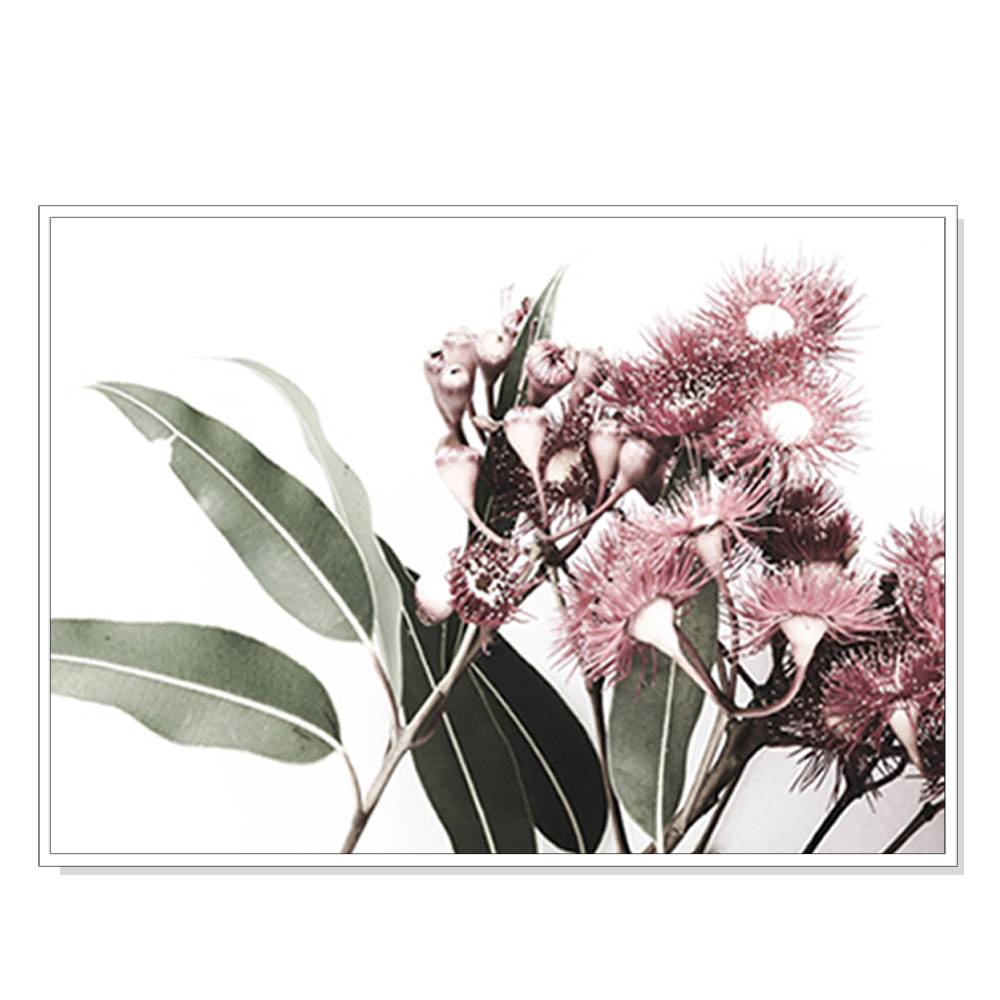 V207-1082_Eucalyptus-in-Bloom-white_1 Wall Art 50cmx70cm Eucalyptus in Bloom White Frame Canvas - Image 1