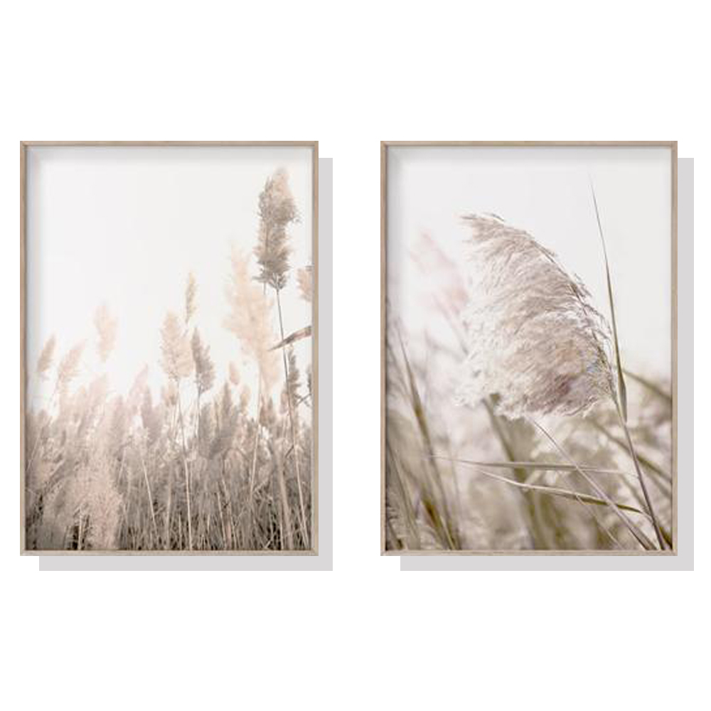 V207-1115_Pampas-Grass_1 Wall Art 40cmx60cm Pampas Grass 2 Sets Wood Frame Canvas - Image 1