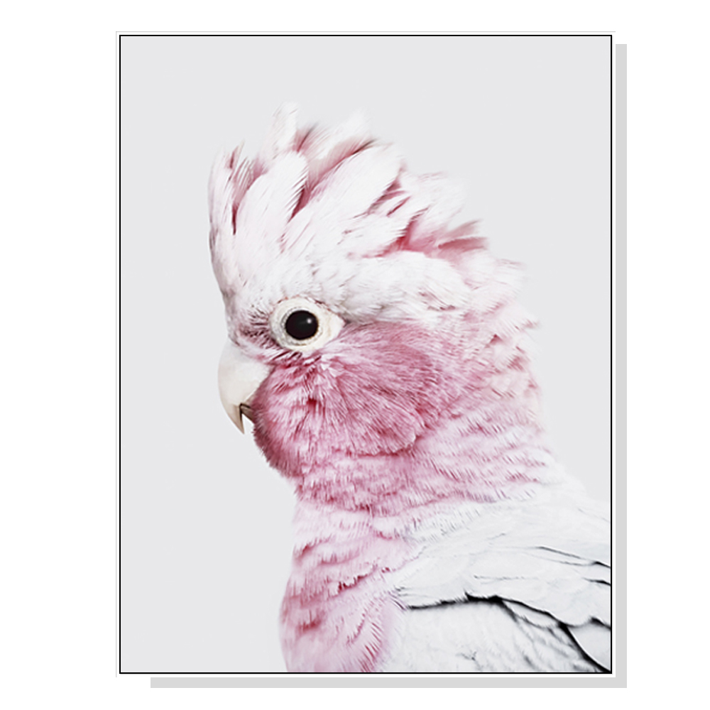 V207-1454-2-145867-00 Wall Art 90cmx135cm Pink Galah White Frame Canvas - Image 1