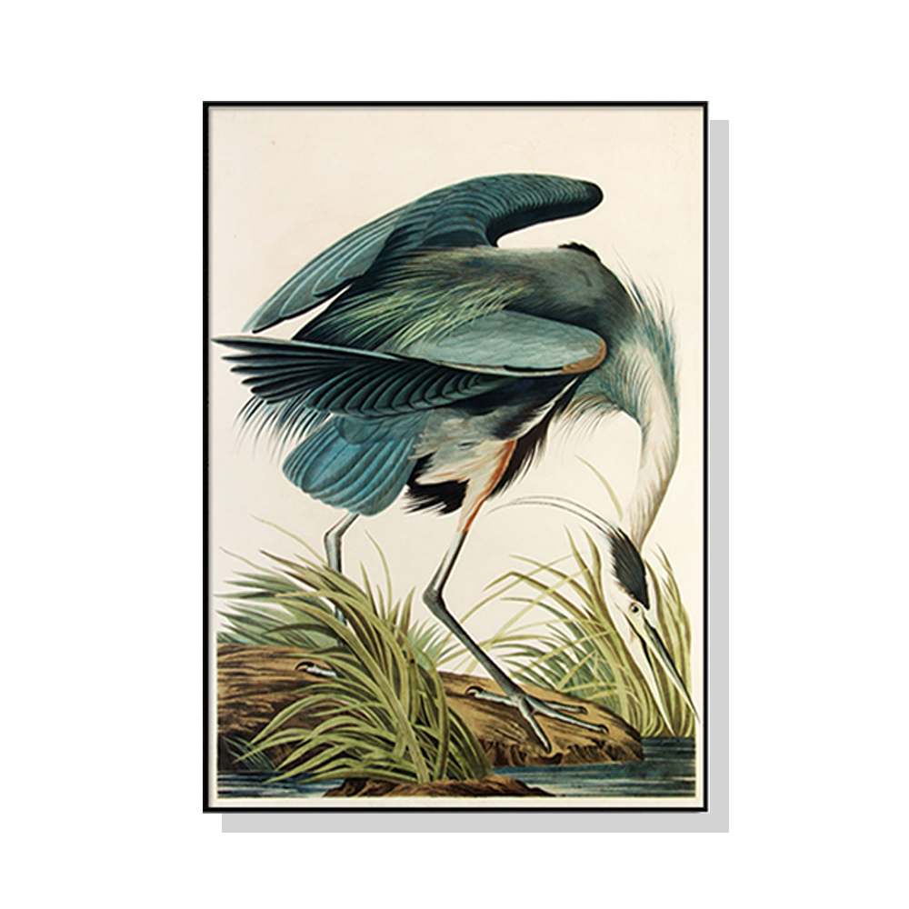 V207-1590-66961-00 Wall Art 60cmx90cm Great Blue Heron By John James Audubon Black Frame Canvas - Image 1
