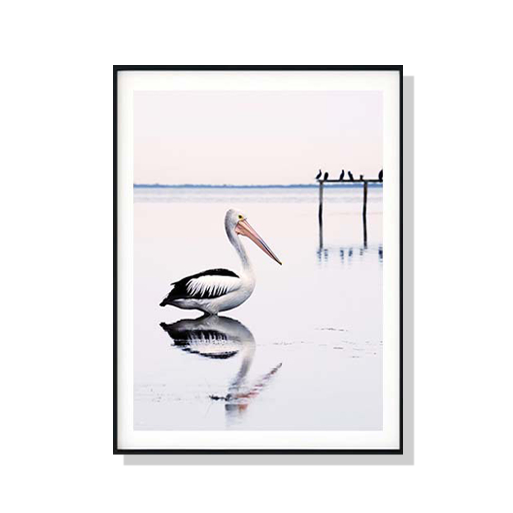 V207-1614-67282-00 Wall Art 50cmx70cm Pelican Black Frame Canvas - Image 1