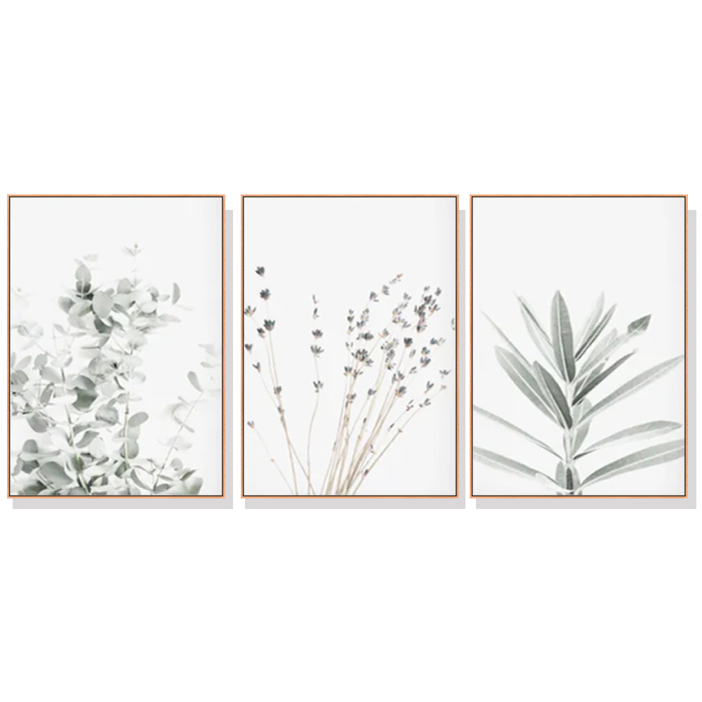 V207-1952-87369-00 Wall Art 40cmx60cm Lavender Eucalyptus 3 Sets Wood Frame Canvas - Image 1
