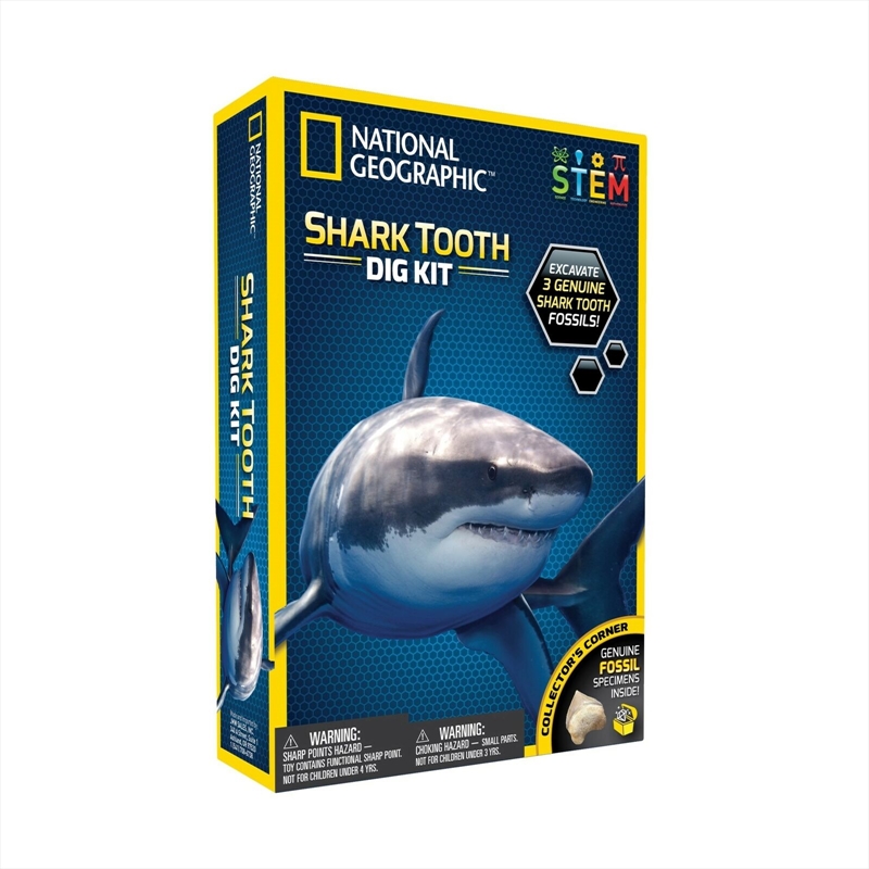 V210-2456173-202503072016-00 Shark Tooth Dig Kit - Image 1