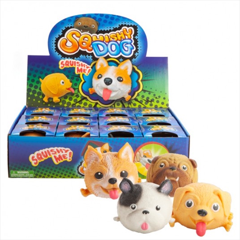 V210-2624388-SDC_2624388_2021-18-3-14-33-25-00 Squishy Dog (SENT AT RANDOM) - Image 1