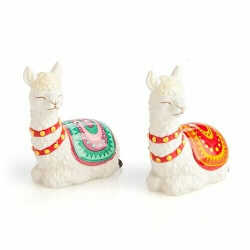 V210-2669999-SDC_2669999_2022-22-2-14-07-18-00 Alpaca Salt Pepper Set - Image 1