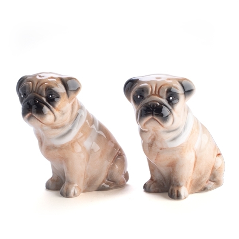 V210-2670001-SDC_2670001_2022-24-2-12-15-13-00 Pug Salt Pepper Set - Image 1