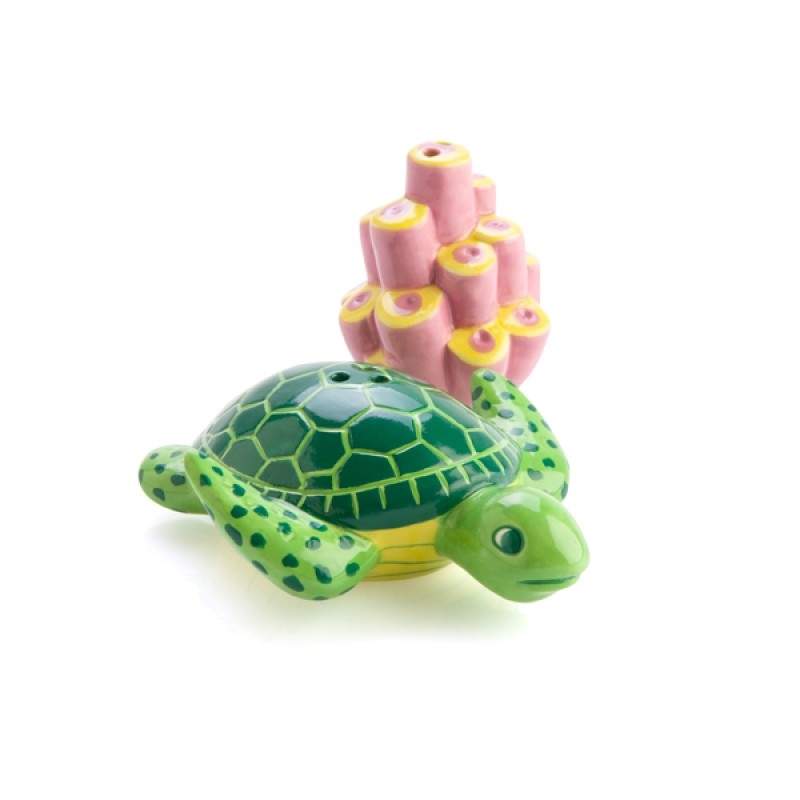 V210-2670013-SDC_2670013_2022-22-2-14-33-49-00 Turtle Coral Salt Pepper Set - Image 1
