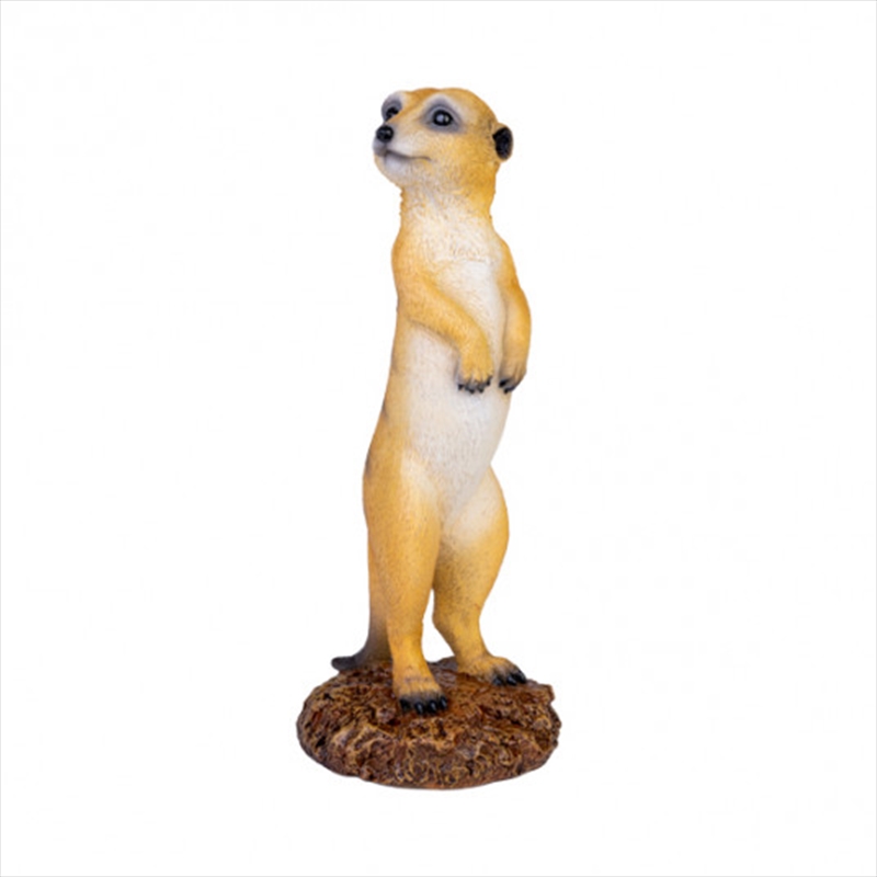 V210-2745255-76928-00 Meerkat - Image 1