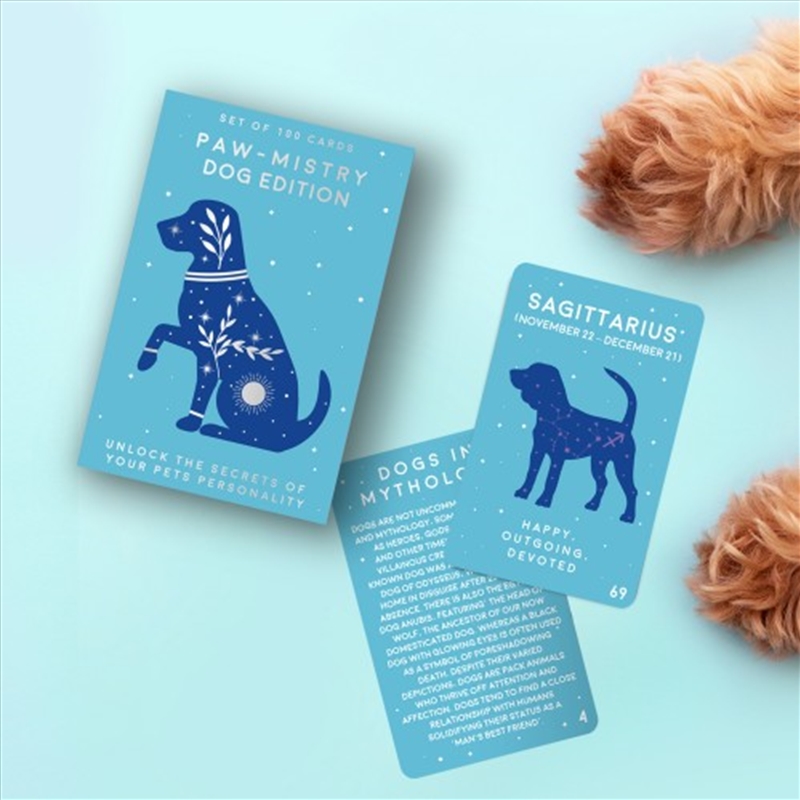 V210-2759621-202502241445-00 Paw-Mistry Dog Edition Cards - Image 1