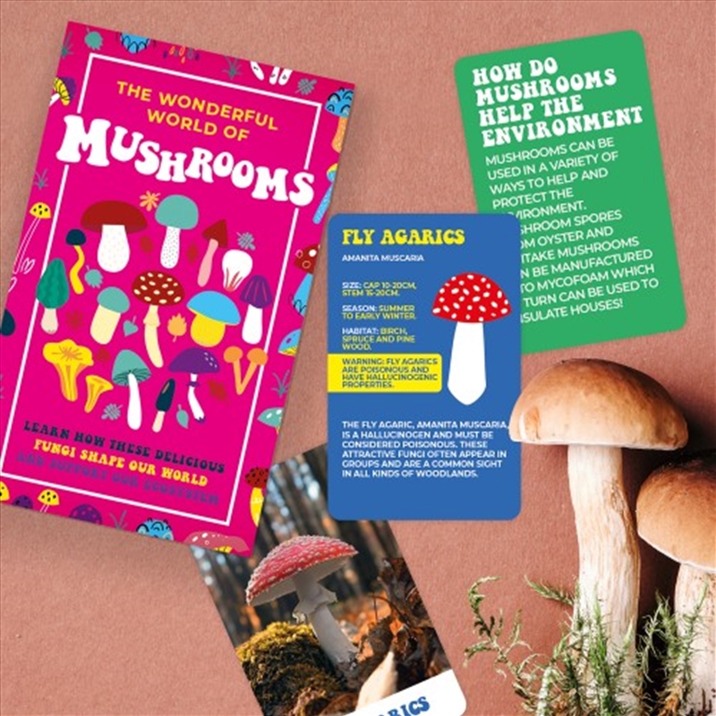 V210-2759664-202502241441-00 The Wonderful World Of Mushrooms - Image 1