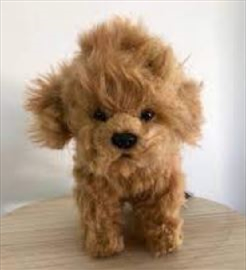 V210-2937785-202503071920-00 Toy Poodle Tea Cup 16cm - Image 1