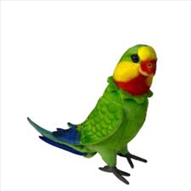 V210-2937825-202503071925-00 Poseable Superb Parrot 30cm - Image 1