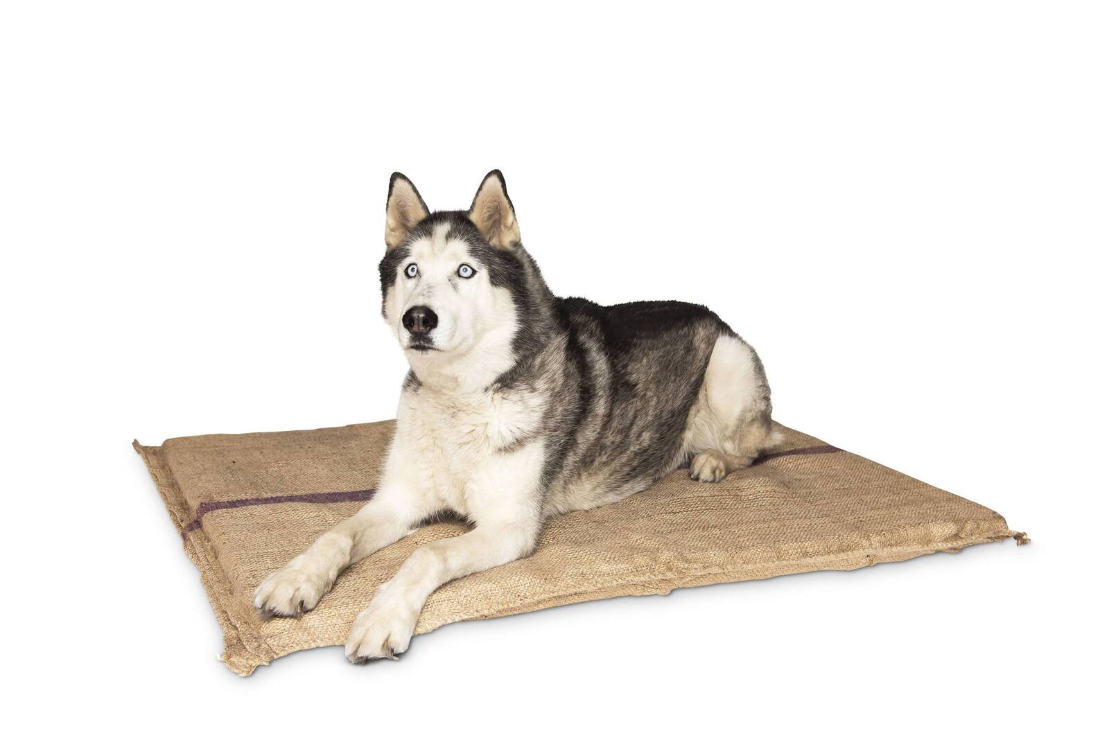 V278-HESSIAN-BED-JUMBO-69428-00 Jumbo Hessian Pet Dog Puppy Bed Mat Pad House Kennel Cushion With Foam 110 x 78 cm - Image 1