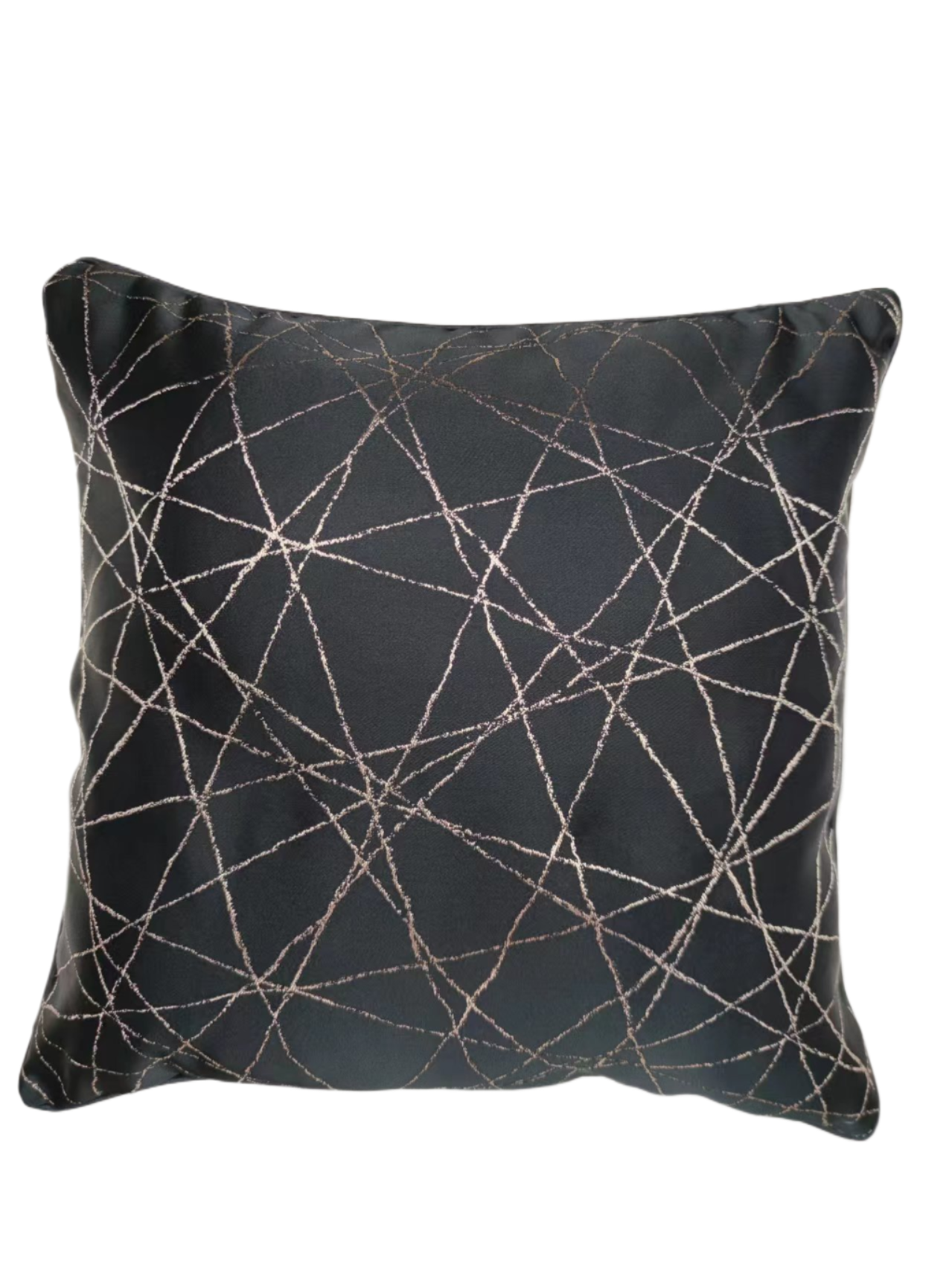 V292-HD-CUSHN-LCY-BLACK-195564-00 Lucy Designer Luxury Cushion - Image 1
