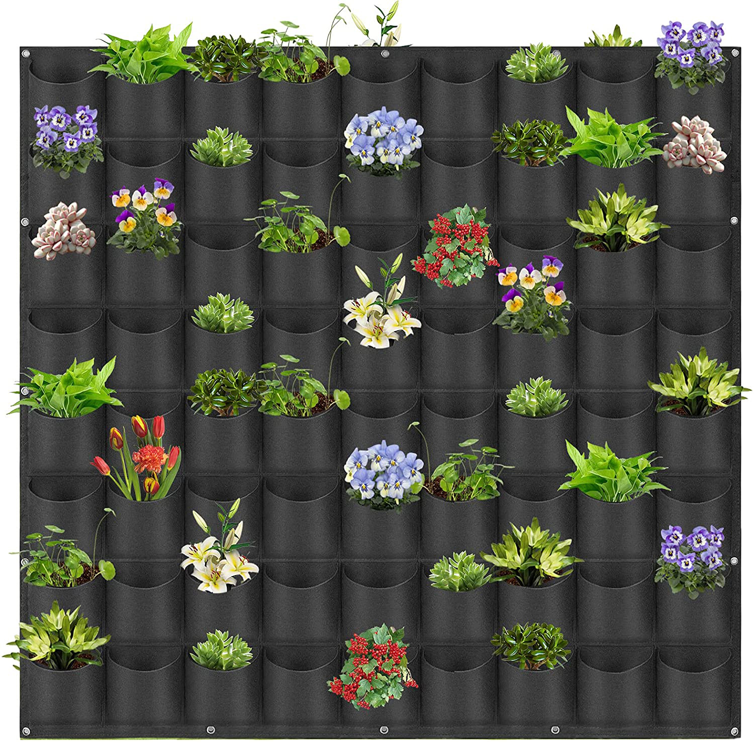 V324-CS-GD72POBK-72-Pockets-Grow-Bag-Black-1-00 72 Pockets Wall Hanging Planter Planting Grow Bag Vertical Garden Vegetable Flower Black - Image 1