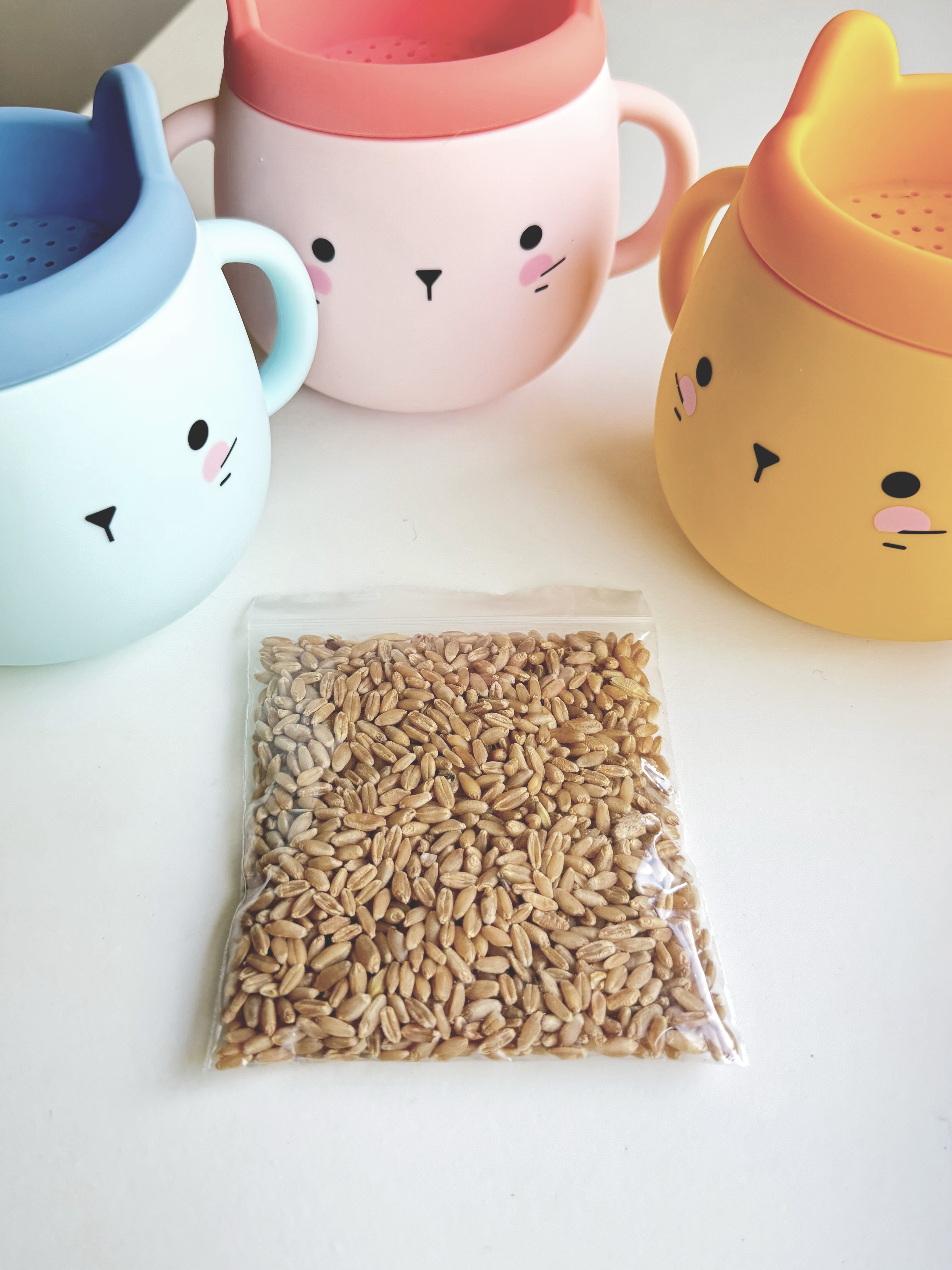 V360-CGSR-202506191422-00 Whisker Wonderland Premium Cat Grass Seeds Refill - Hydroponic & Soil-Free Growing | Natural Digestion & Hairball Aid for Cats | Fresh & Nutritious - Image 1