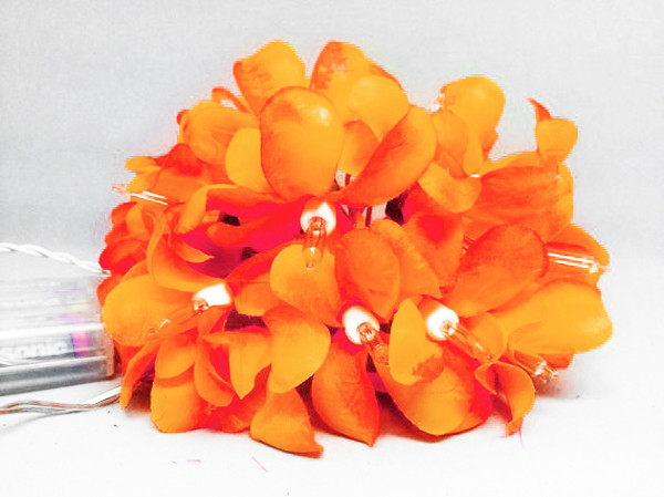 V382-ORFRANGIBATT20-68329-00 1 Set of 20 LED Orange Frangipani Flower Battery String Lights Christmas Gift Home Wedding Party Decoration Outdoor Table Garland Wreath - Image 1