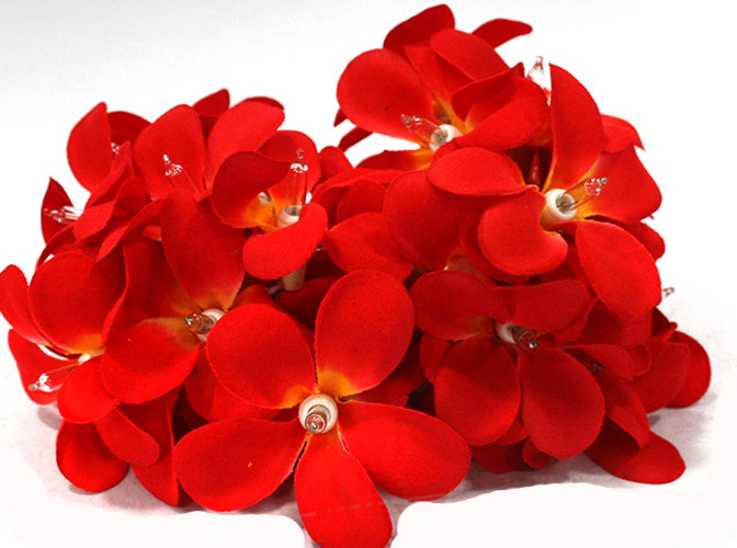 V382-REDFRANGIBATT20-68328-00 1 Set of 20 LED Deep Red Frangipani Flower Battery String Lights Christmas Gift Home Wedding Party Decoration Outdoor Table Garland Wreath - Image 1