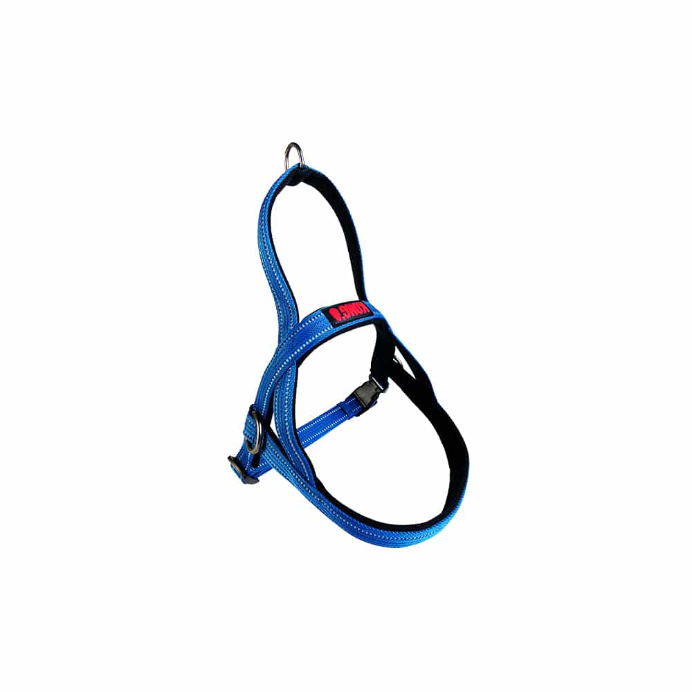 V390-KHNSSBL-185466-00 KONG Norwegian Blue Harness Small - Image 1