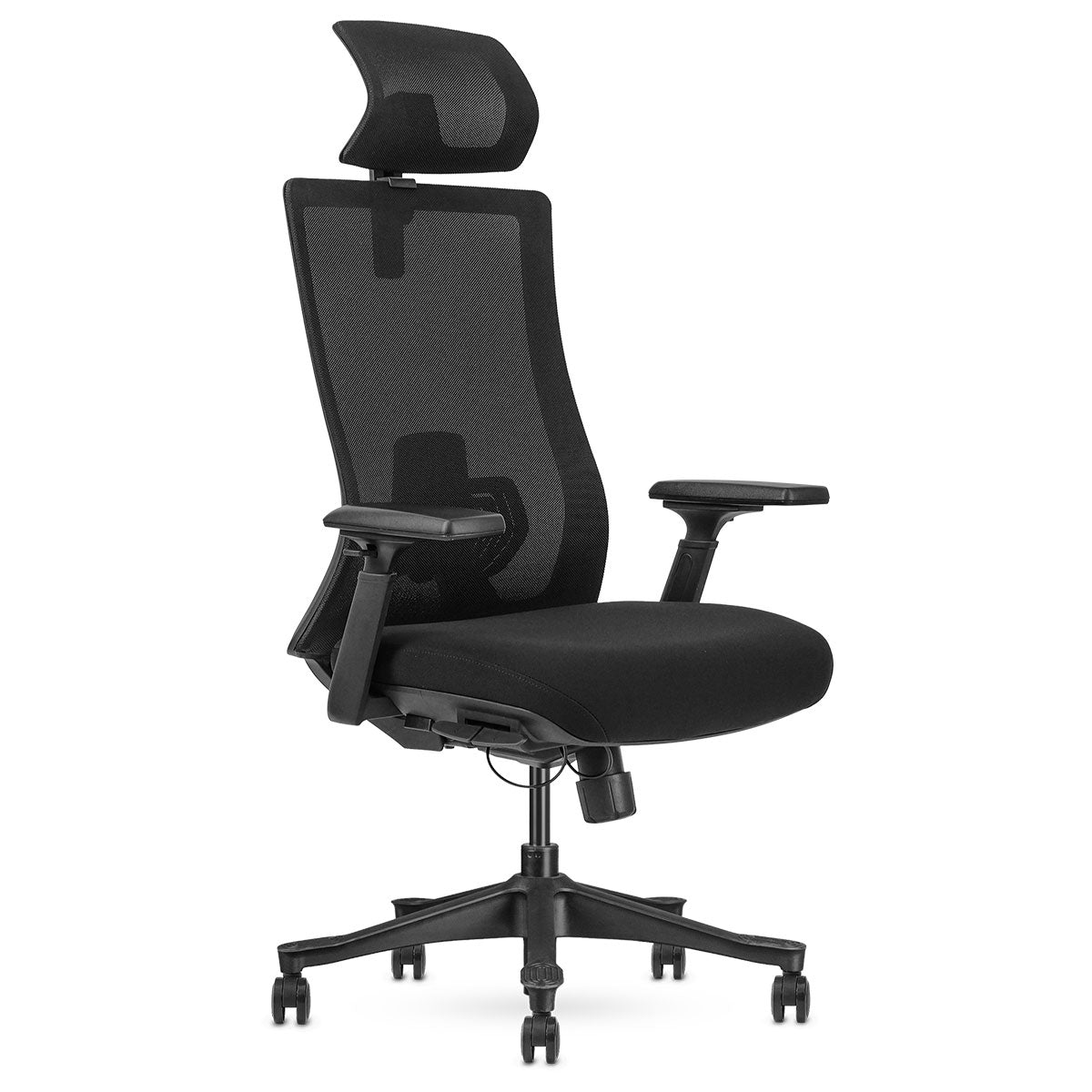 V420-LFOC-DM9BK-1-197857-00 Lifespan Fitness DM9 Ergonomic Mesh High Back Office Chair - Image 1