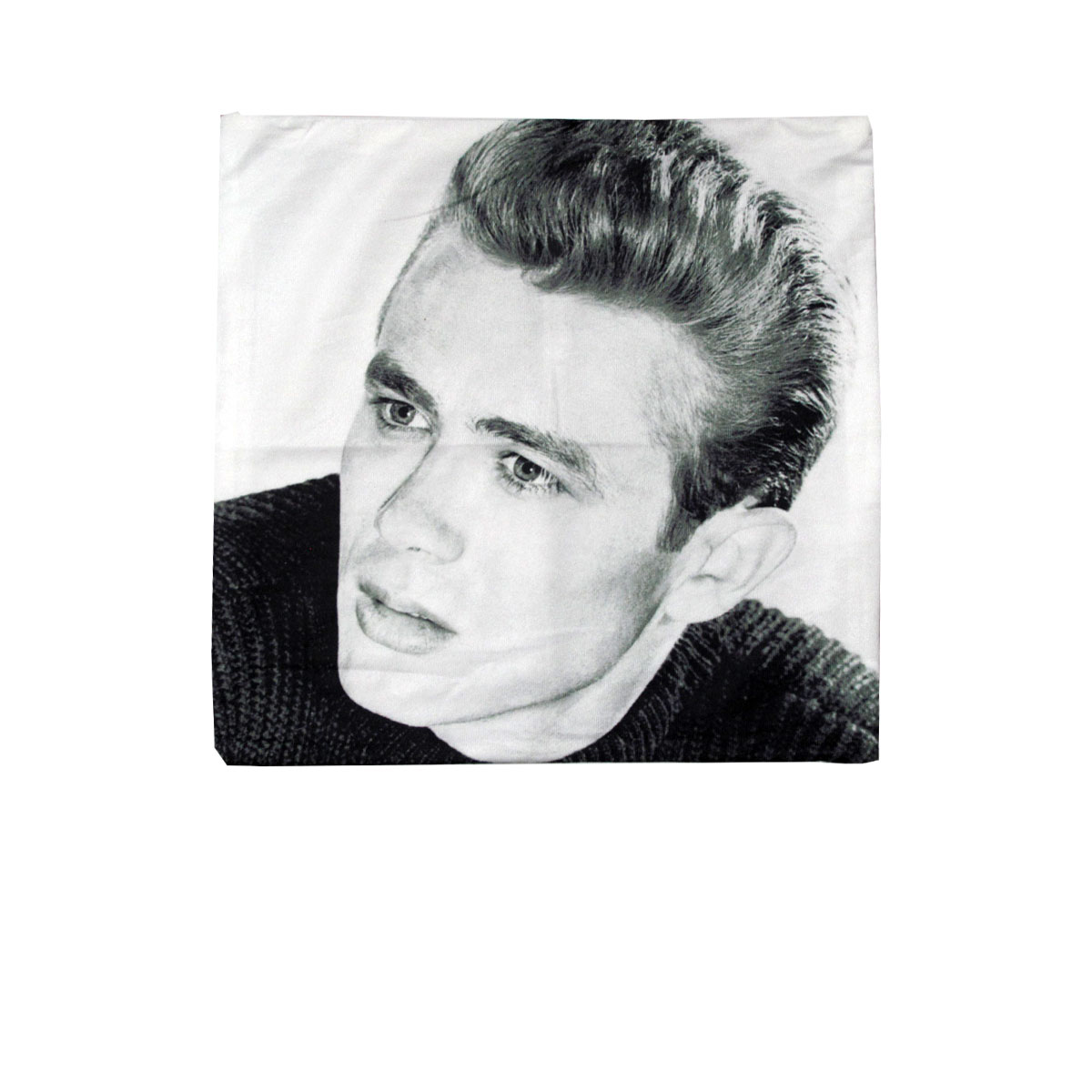 V442-ABR-CUSHIONC-JAMESDEANPORTRAIT-GREY-SQ-96864-00 James Dean Portrait Square Cushion Cover - Image 1