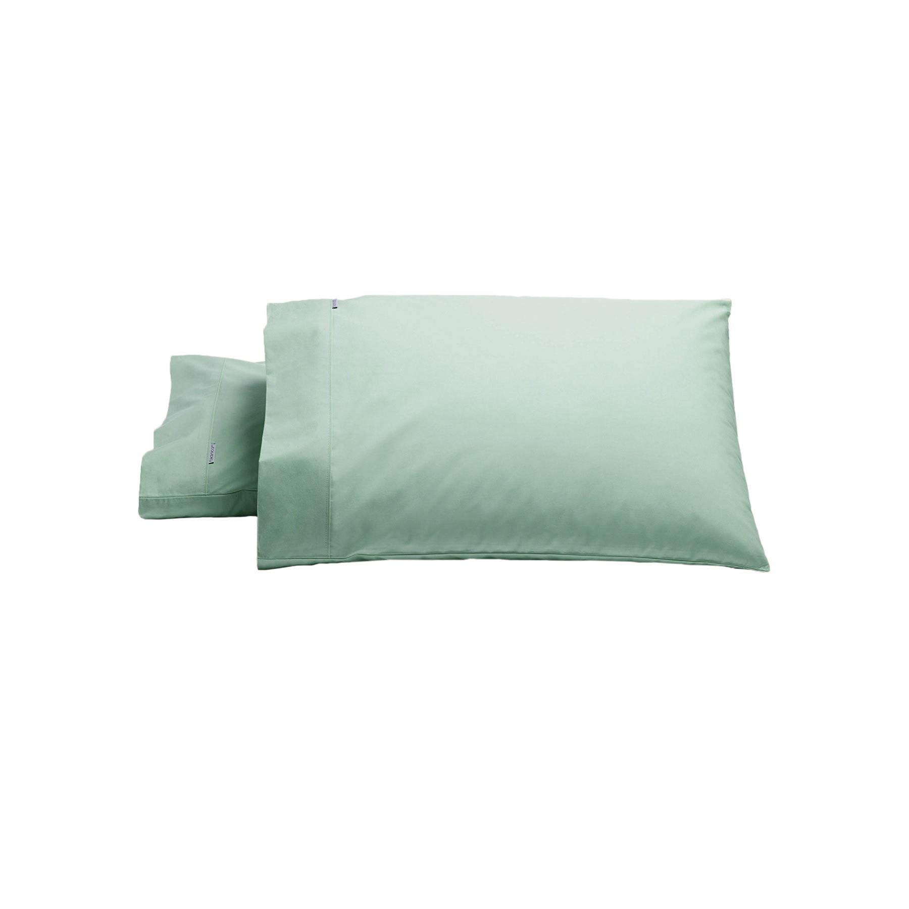 V442-BCA-PILLOWC-HESTON-SAGE-ST-204569-00 Bianca Pair of Heston Cotton Percale Standard Pillowcases Sage - Image 1