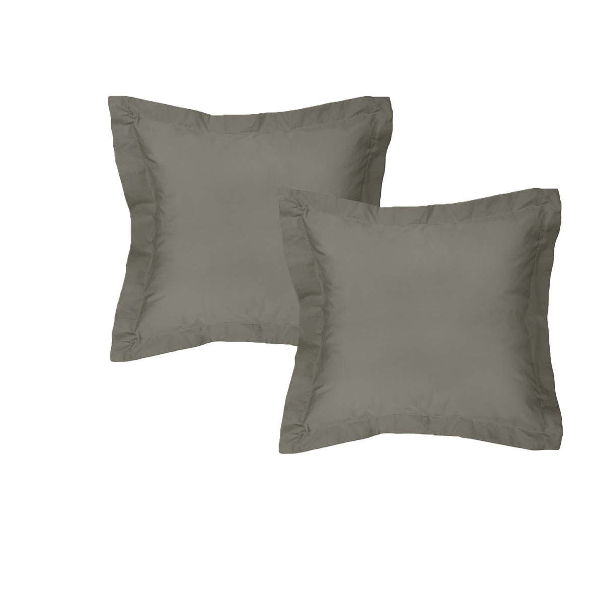 V442-INT-PILLOWC-300TCPAIR-CHARCOAL-EU-141529-00 Algodon Pair of 300TC Cotton European Pillowcases Charcoal - Image 1