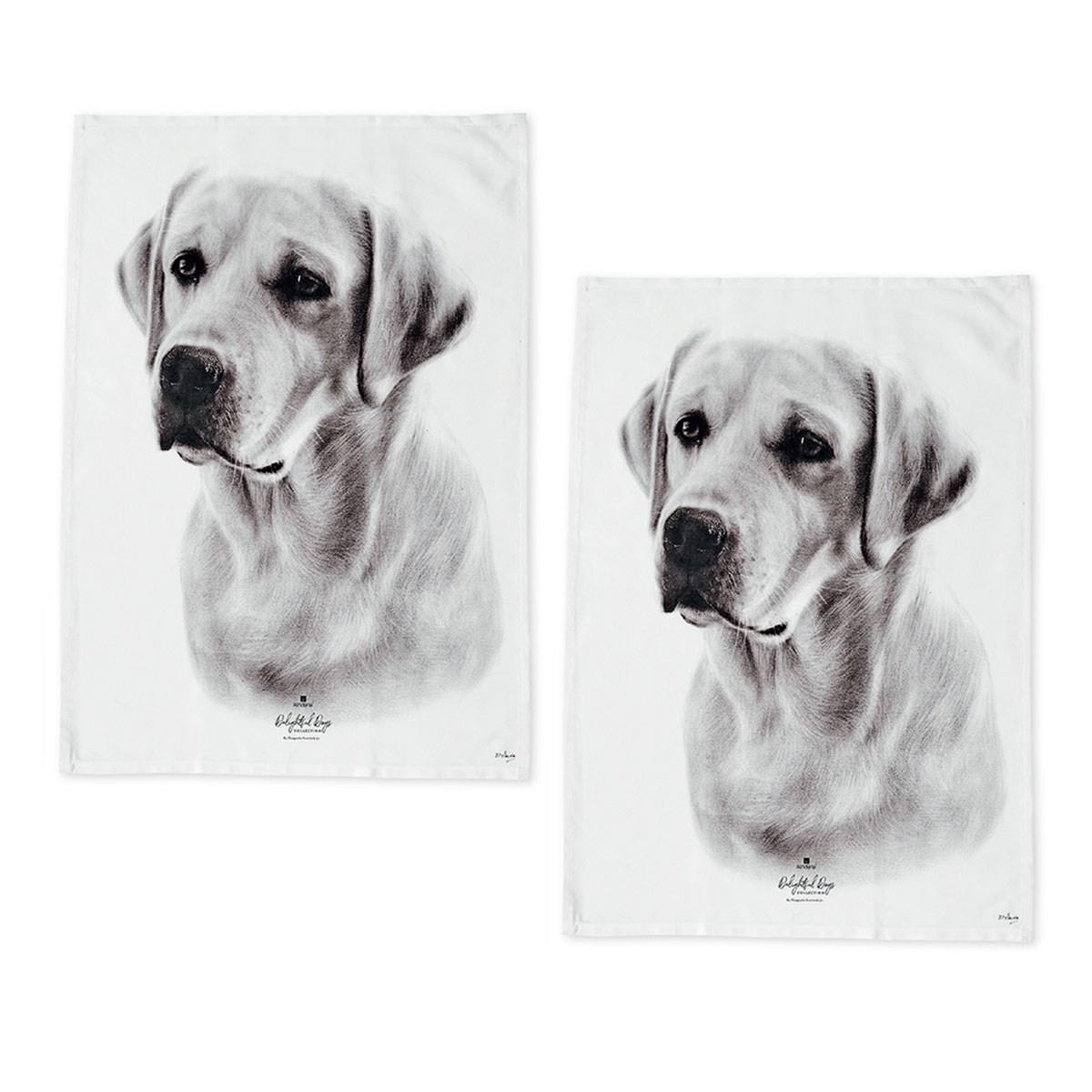 V442-LDE-TEAT-LABRADORSETOF2-WHITE-RE-77677-00 Set of 2 Delightful Dogs Cotton Kitchen Tea Towels 50 x 70 cm Labrador - Image 1
