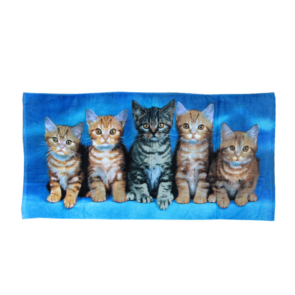 V442-WAM-TOWEL-CURIOUSKITTENS-BLUE-RE-202502260920-00 Curious Kittens Cotton Beach Towel - Image 1
