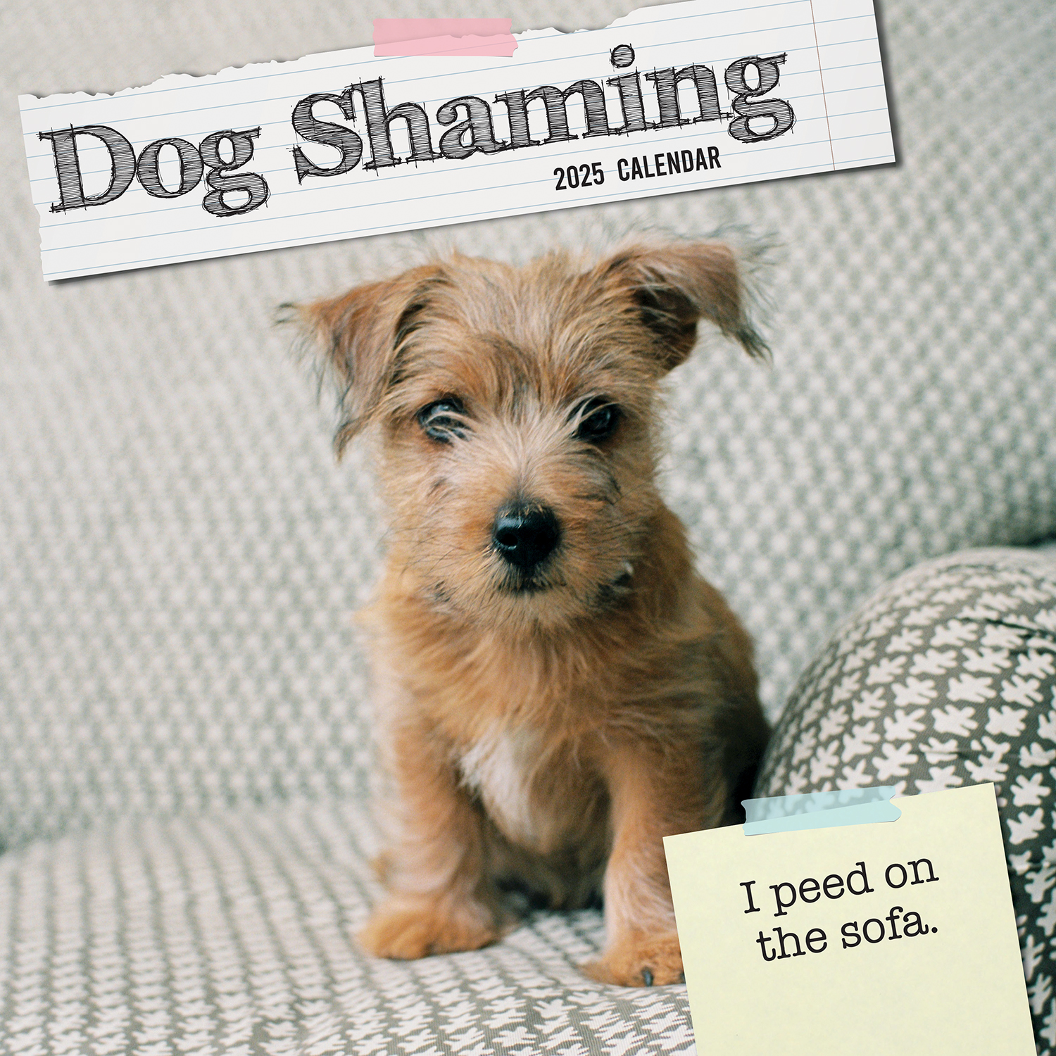 V474-689764-216773-00 Dog Shaming 2025 Square Wall Calendar Pets Animals 16-Month Premium Planner Gift - Image 1