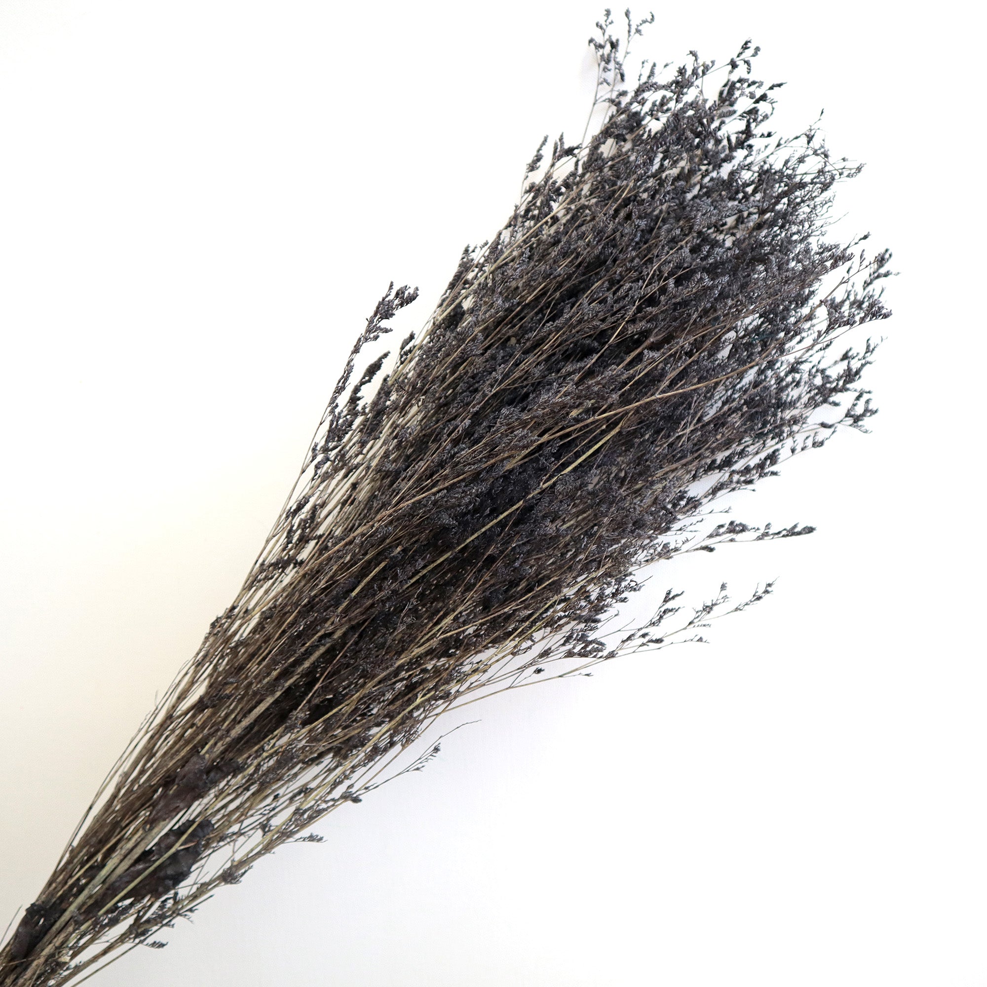 V489-MIS-BLA-120449-00 Misty Black - Image 1