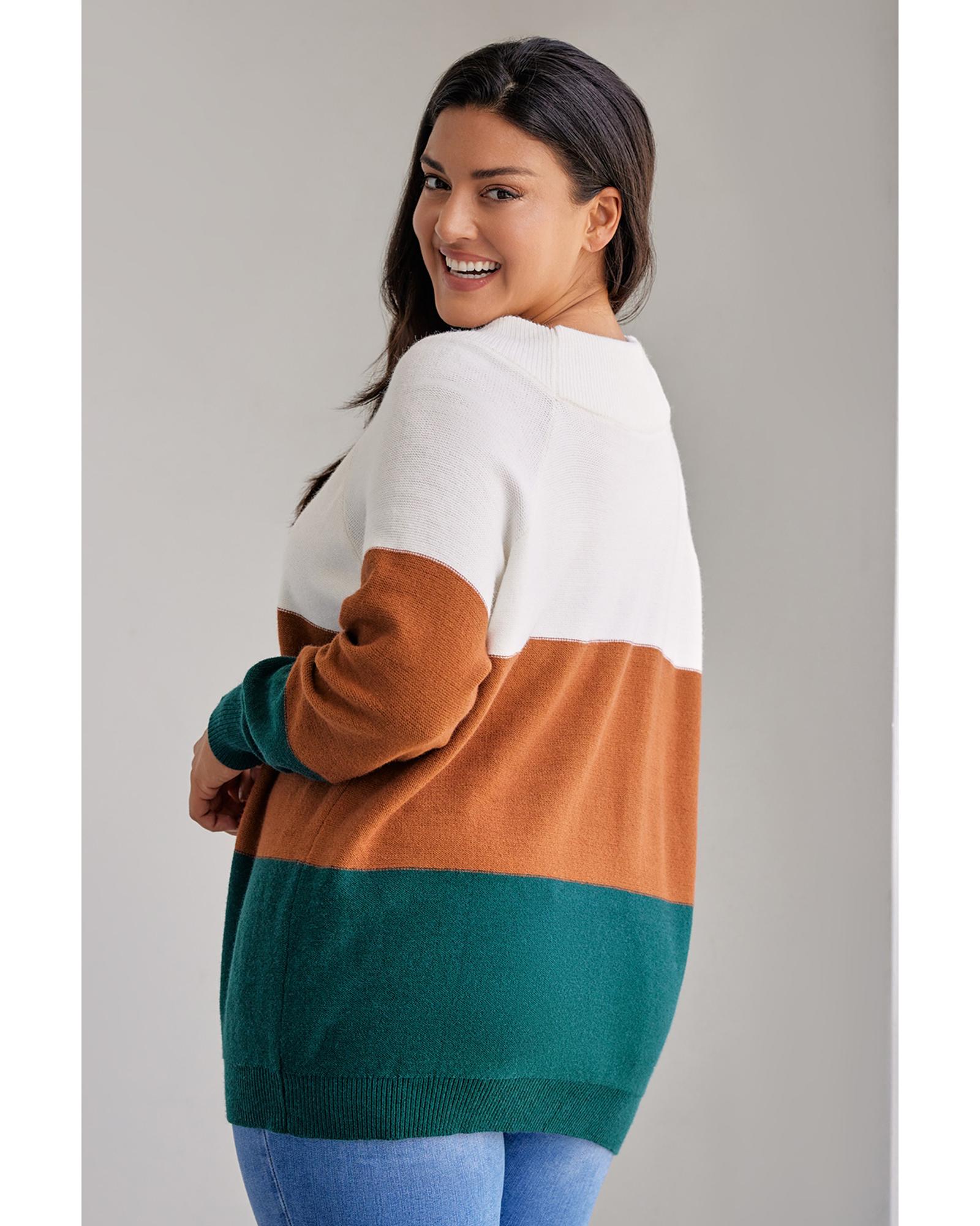 V539-AZEXPL272119-17-1X-202506151812-00 Brown Plus Size Ribbed Trim Color Block Sweater - 1X - Image 1