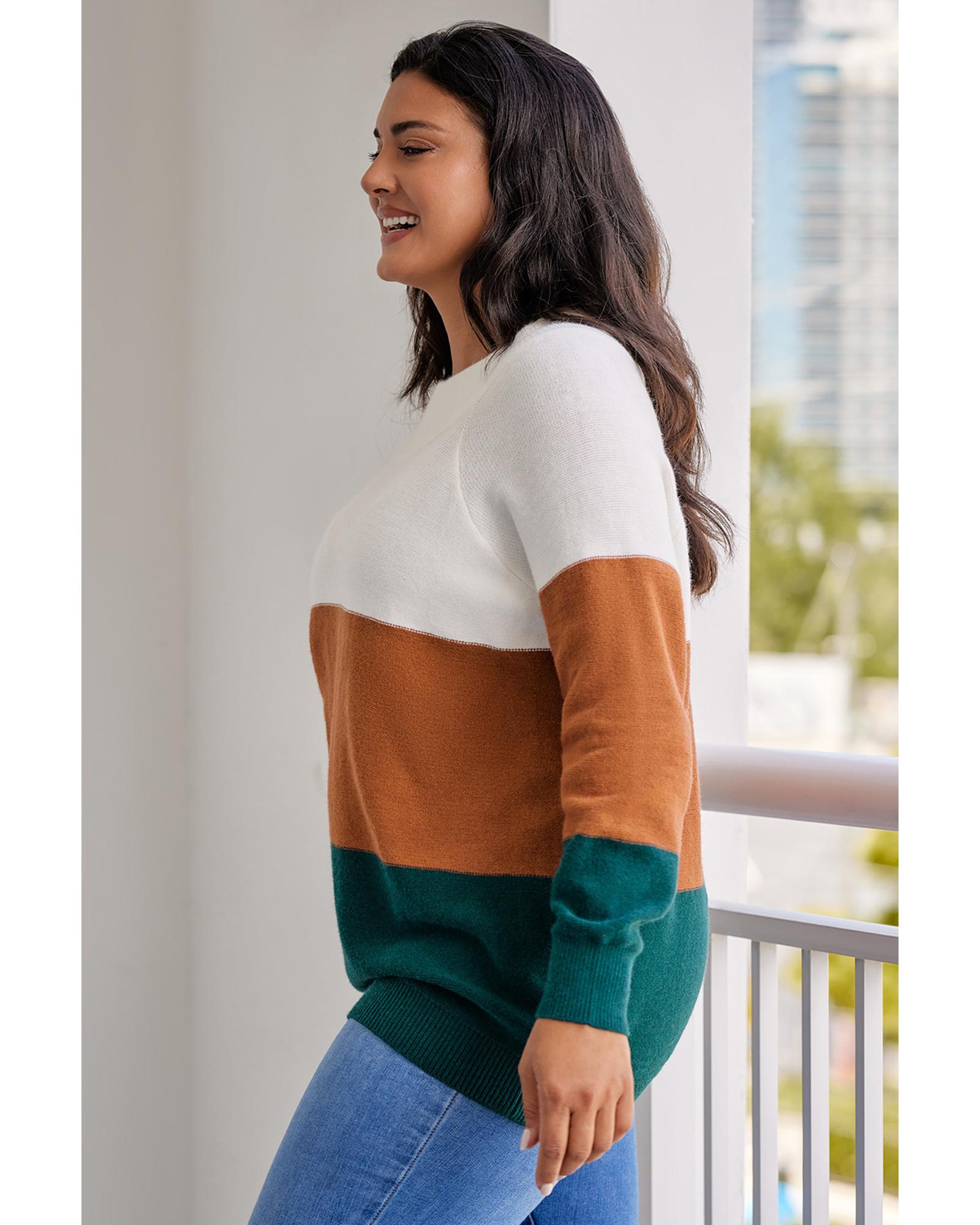 V539-AZEXPL272119-17-3X-202508301050-00 Brown Plus Size Ribbed Trim Color Block Sweater - 3X - Image 1