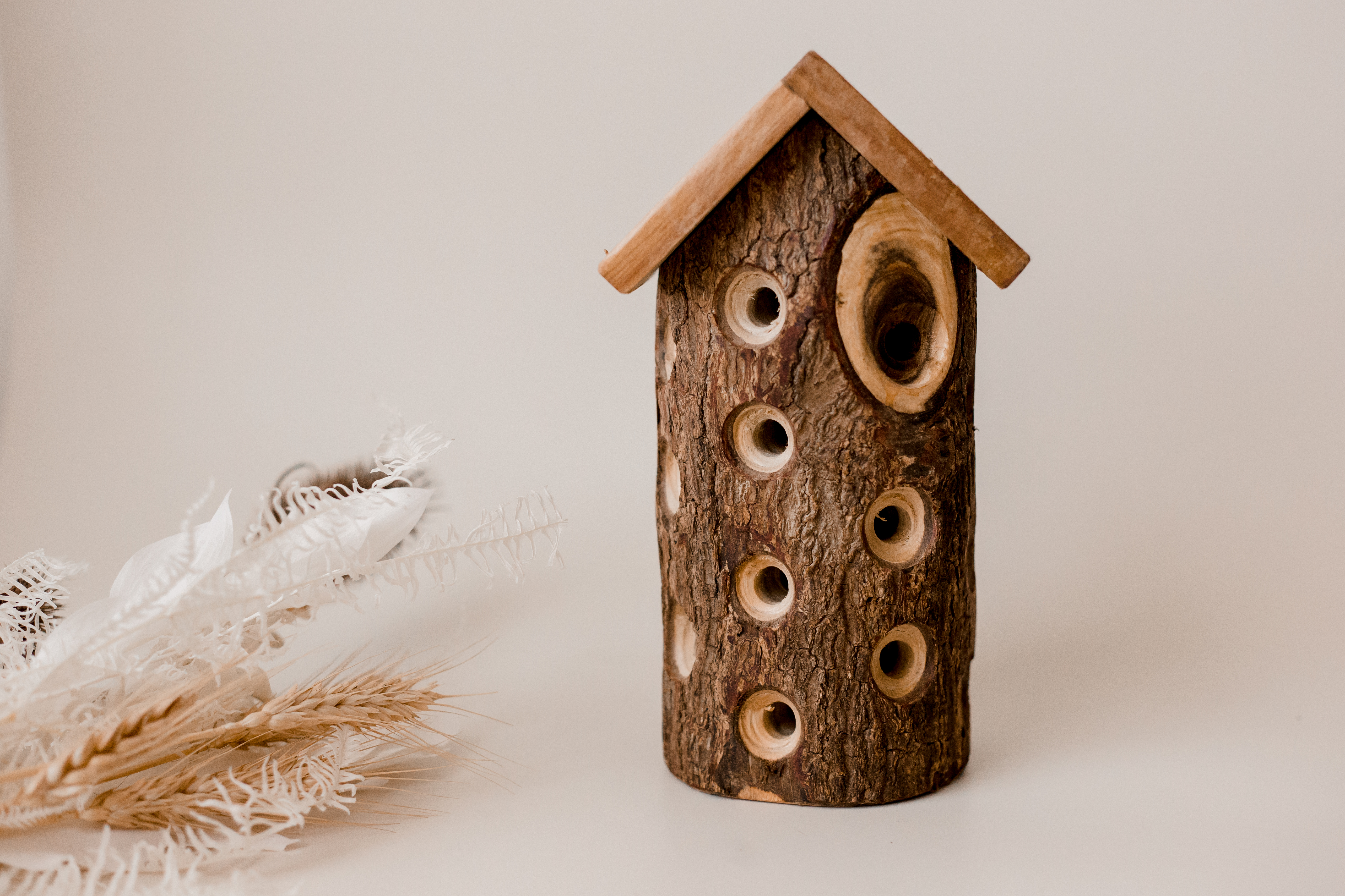 V59-93-159662-00 Lady Bug House - Image 1