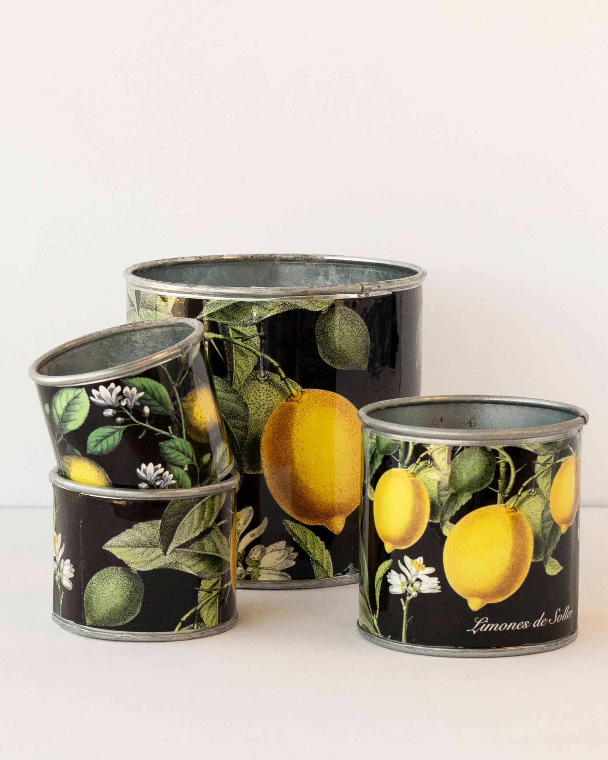 V758-CV20009-202505231105-00 tin-planter-lemons-set-of-4 - Image 1