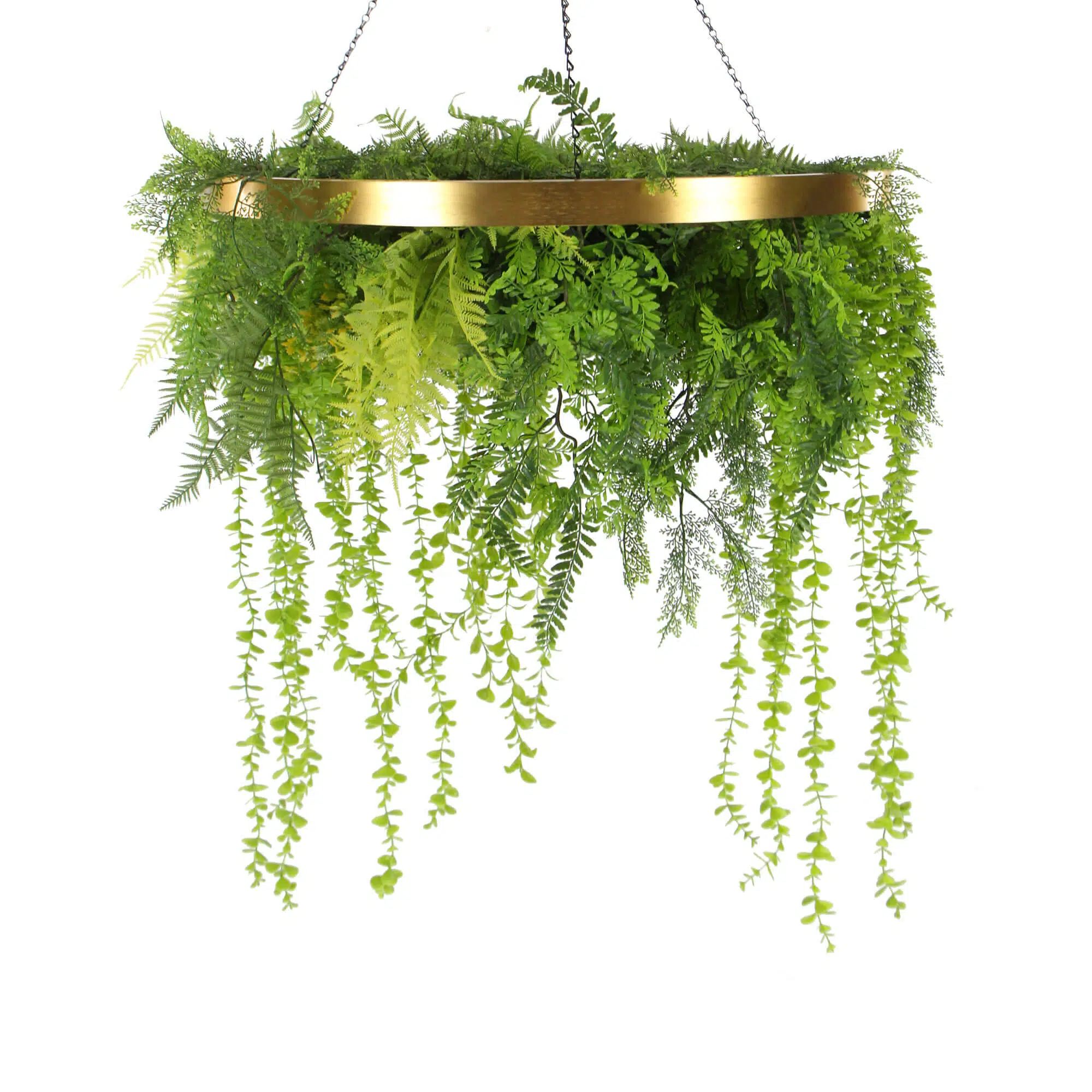 xr:d:DAEkD59r8M8:160,j:45267750555,t:23041604 Imitation Gold Artificial Hanging Green Wall Disc 80cm (Limited Edition) UV Resistant Foliage - Image 1