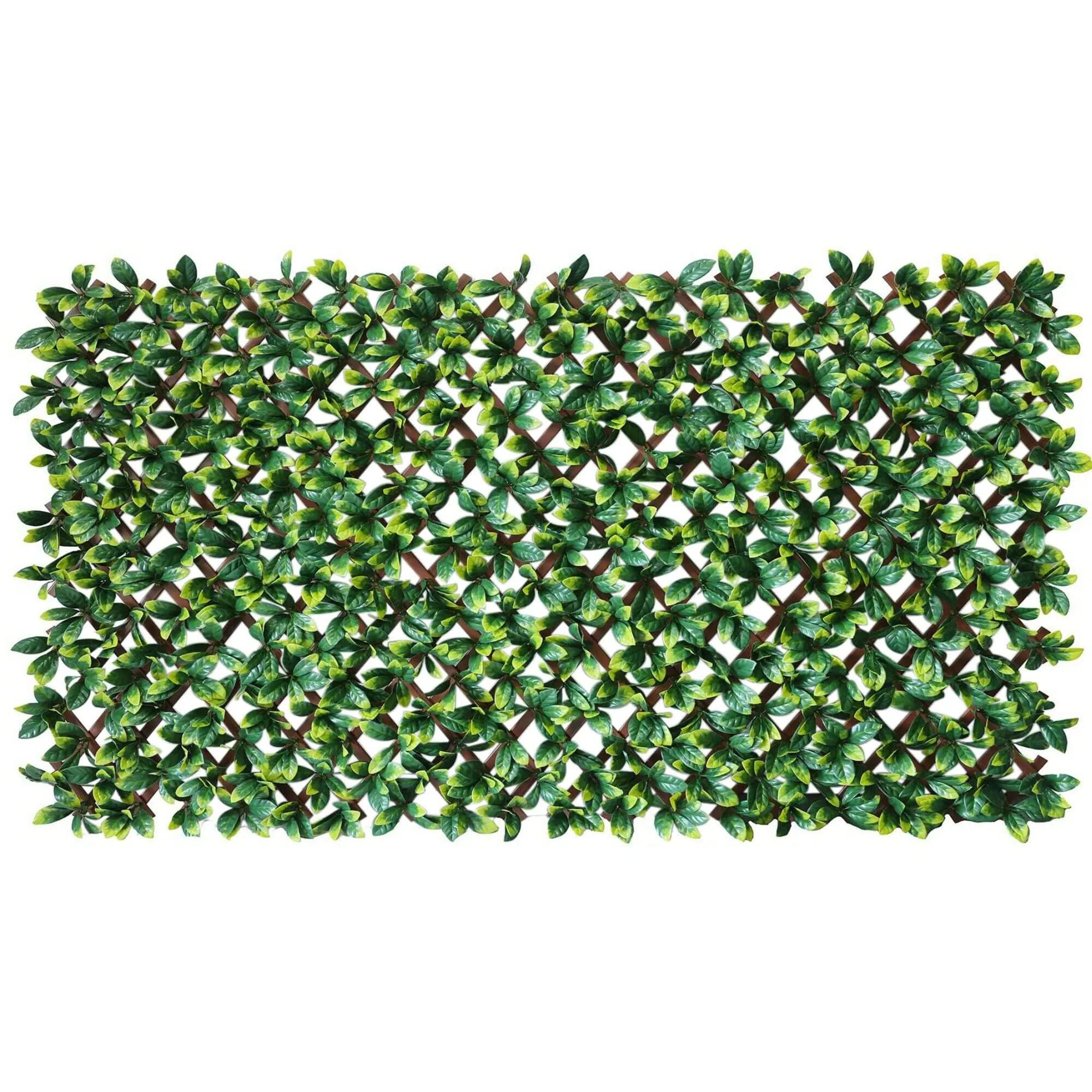 xr:d:DAEkD59r8M8:126,j:2801113628,t:23041602 Premium Laurel Leaf Artificial Hedge Extendable Trellis / Screen 2 Meter By 1 Meter UV Resistant (PVC) - Image 1