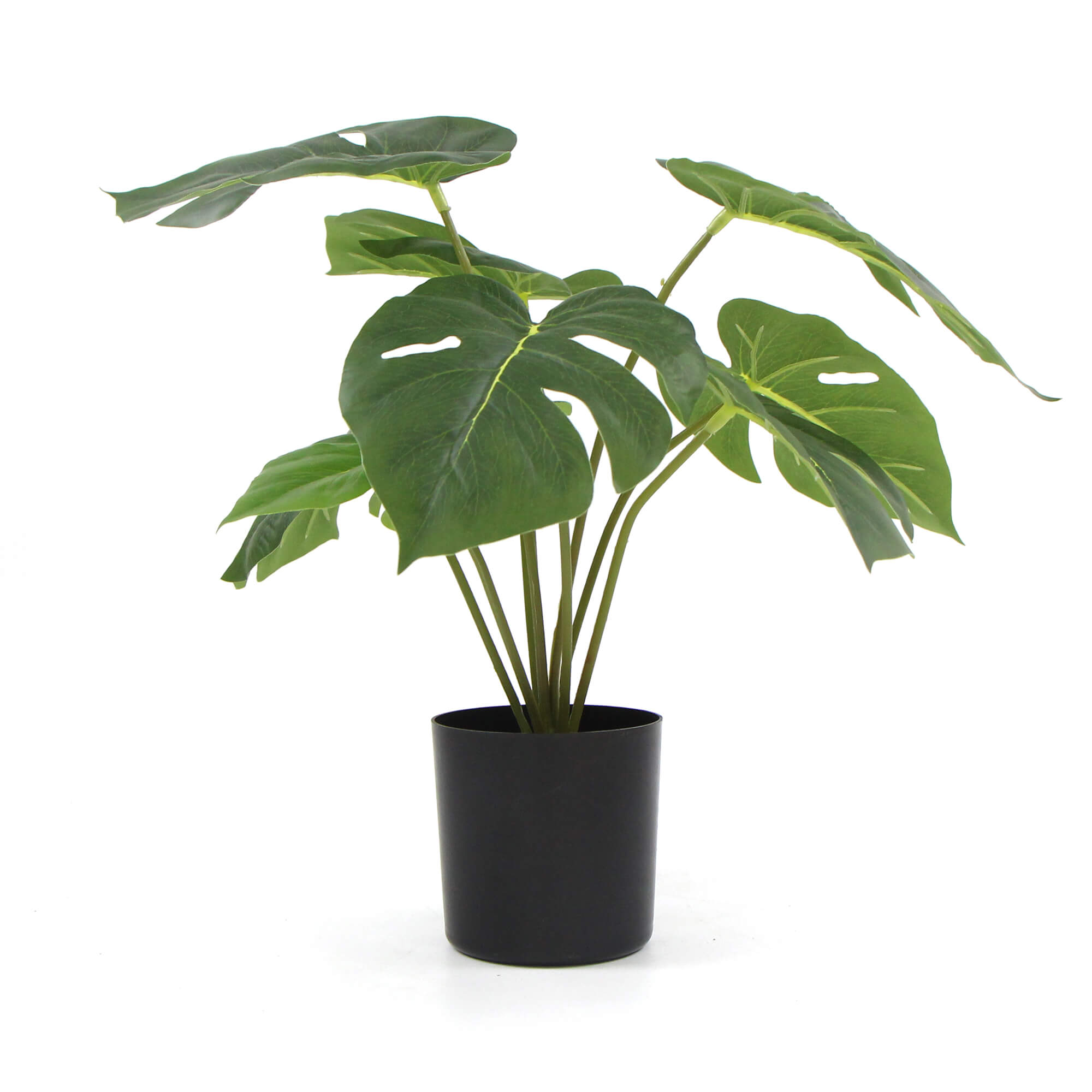V77-8870011_8870011_1_1 Potted Artificial Split Philodendron Plant With Real Touch Leaves 35cm - Image 1