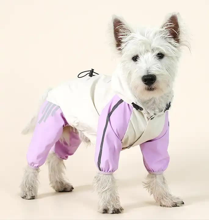 V888-ELOSUNG10475-204648-00 Waterproof Dog Raincoat with Hidden Leash Hole - Windproof and Comfortable for Outdoor Walks, Size:M (Back Length 25cm/9.84in, Bra 38cm/14.96in) Purple - Image 1