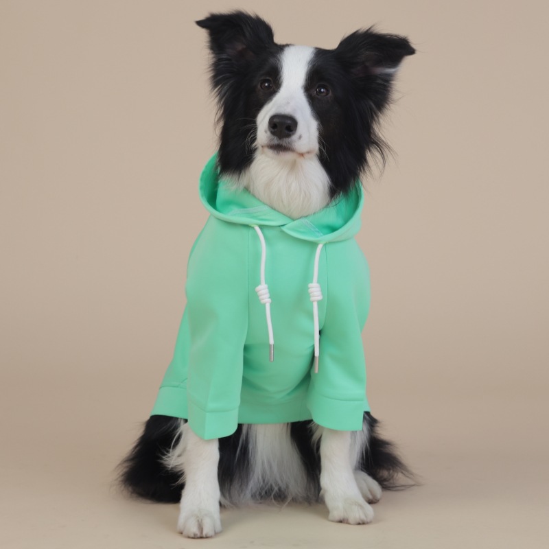 V888-ELOSUNG19158-227271-00 3XL Green Cute Dog Hoodie with Adjustable Drawstring - Available in Various Sizes - Image 1