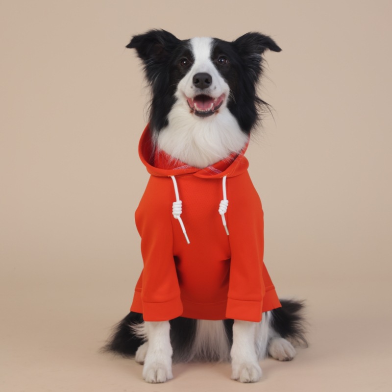 V888-ELOSUNG19165-227278-00 XL Orange Cute Dog Hoodie with Adjustable Drawstring - Available in Various Sizes - Image 1