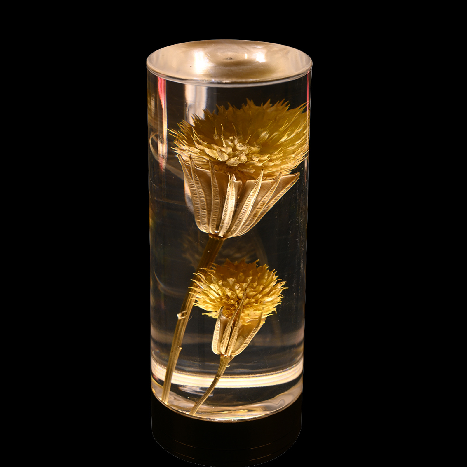 V888-ELOSUNG21683-202503111132-00 Dandelion Grass Eternal Flower Acrylic Table Lamp - Color-Changing LED, USB Rechargeable, Touch Control - Image 1