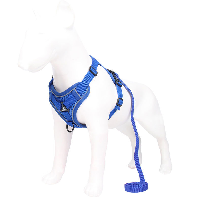 V888-ELOSUNG26039-202504141515-00 Blue Reflective Mesh Dog Harness and Leash Set - Adjustable No-Pull Vest - S - Image 1